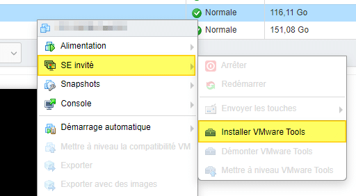 debian-10-installer-vmware-tools-01.png
